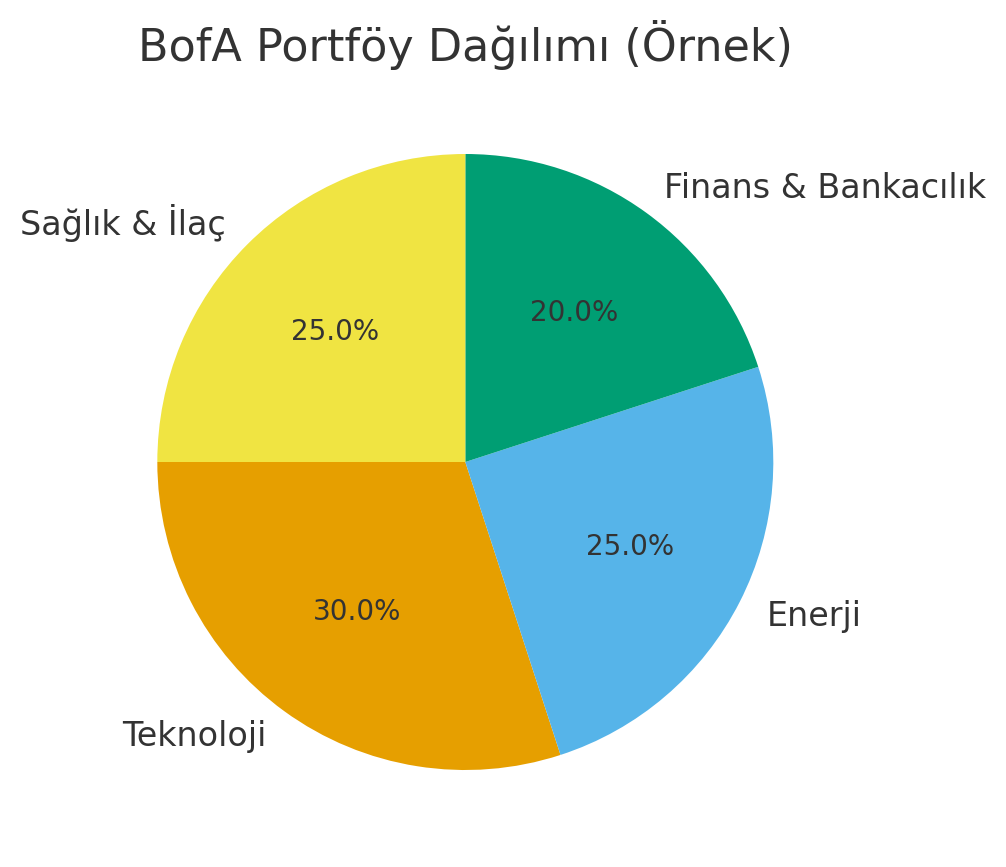 bofa hiseler portfoy dagılımı