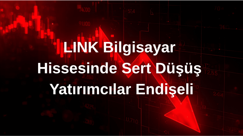 Link Bilgisayar (LINK) Hissede Sert Düşüş